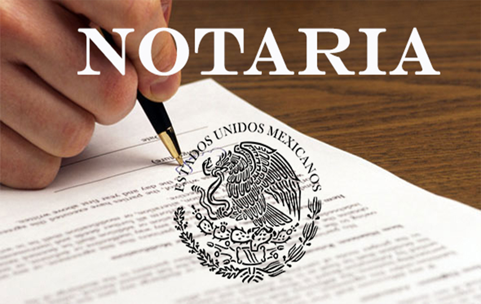 ¿Que hace un notario?