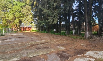 TERRENO COMERCIAL